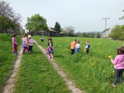 Pleteme věnečky z pampelišek